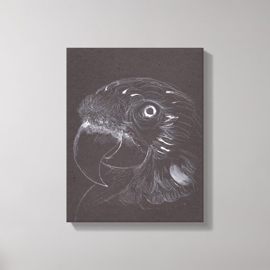 Parrot -オリジナルスケッチ- Canvas Print キャンバスプリント (正面)
