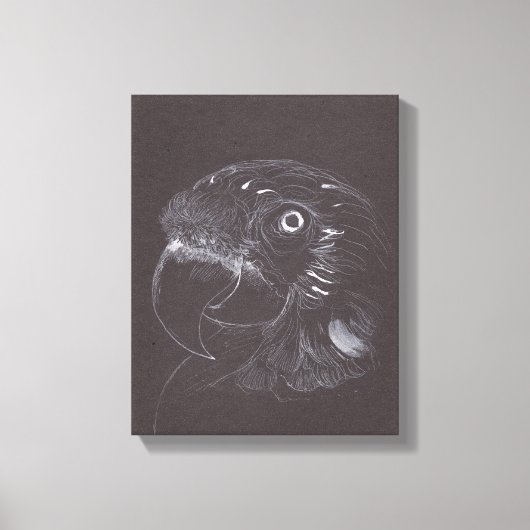 Parrot -オリジナルスケッチ- Canvas Print キャンバスプリント (正面)