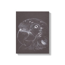 Parrot -オリジナルスケッチ- Canvas Print