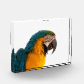 Parrot  フォトブロック (左)