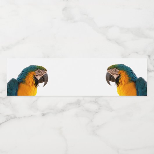 Parrot  ペットボトルラベル (シングルラベル)