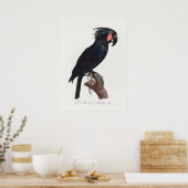 Parrot ポスター (キッチン)
