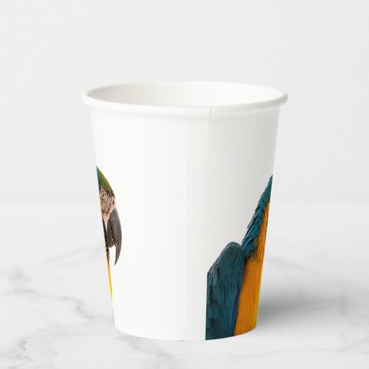 Parrot  紙コップ (右)