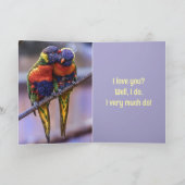 PARROT ANNIVERSARY/LOVE CARD サンキューカード (内部)