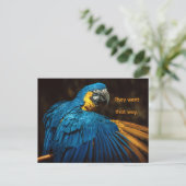 PARROT - CHANGE OF ADDRESS POSTCARD シーズンポストカード (スタンド正面)