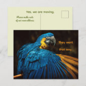 PARROT - CHANGE OF ADDRESS POSTCARD シーズンポストカード (正面/裏面)