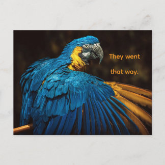 PARROT - CHANGE OF ADDRESS POSTCARD シーズンポストカード