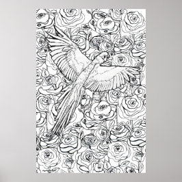 Parrot Clarity ポスター