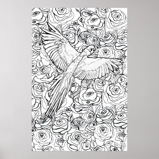 Parrot Clarity ポスター (正面)