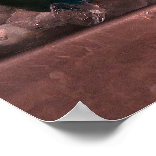 Parrot Fish ポスター (角)