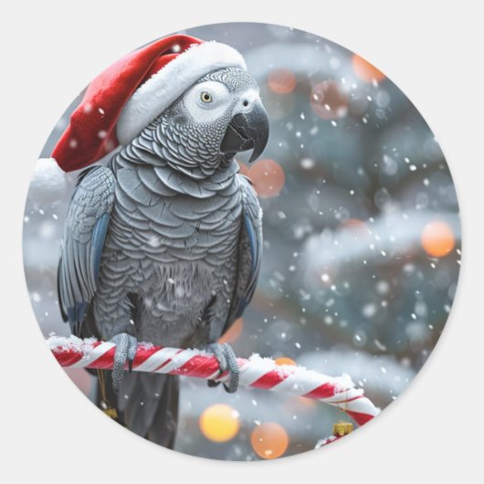 Parrot Holiday ステッカー — 冬のワンダー (正面)