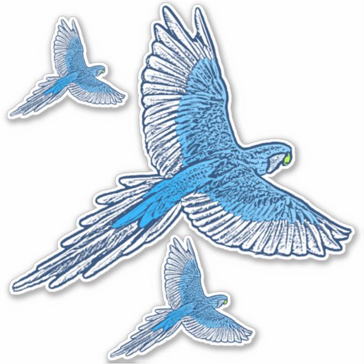 Parrot in Flight、コバルトブルーとホワイト シール (正面)