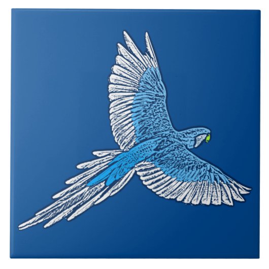 Parrot in Flight、コバルトブルーとホワイト タイル (正面)