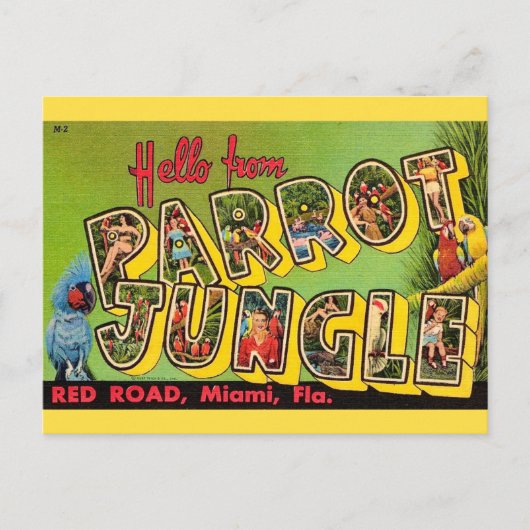 Parrot Jungle Miami Vintage Postcard ポストカード (正面)