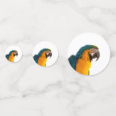 Parrot Notes コンフェッティ (正面)