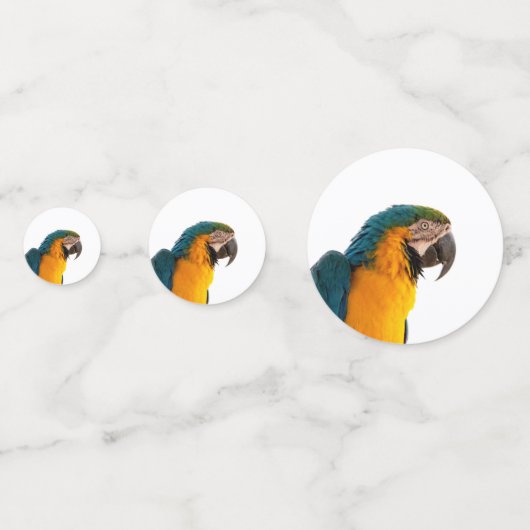 Parrot Notes コンフェッティ (正面)