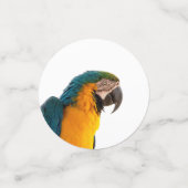 Parrot Notes コンフェッティ (スモール正面)