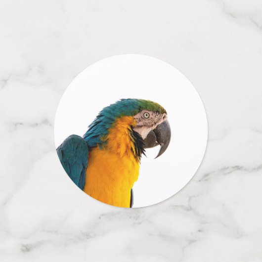 Parrot Notes コンフェッティ (スモール正面)