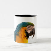 Parrot Notes ツートーンマグカップ (中央)