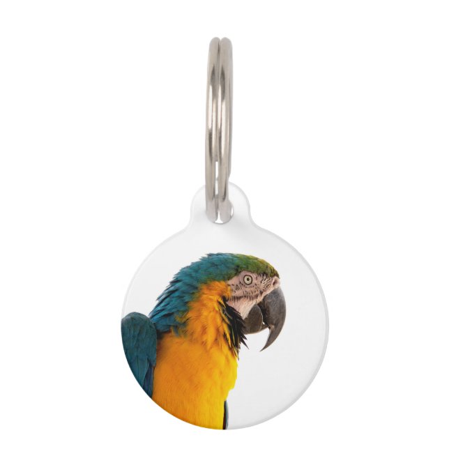 Parrot Notes ペット　ネームタグ (正面)