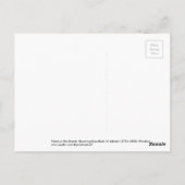 Parrot on the Branch, Flowering バラブッシュ寂聴 ポストカード (裏面)