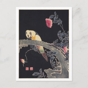 Parrot on the Branch, Flowering バラブッシュ寂聴 ポストカード