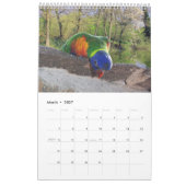 Parrot Portraits カレンダー (3月 2027)