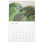 Parrot Portraits カレンダー (1月 2027)