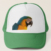 Parrot Post-Itメモ キャップ (正面)