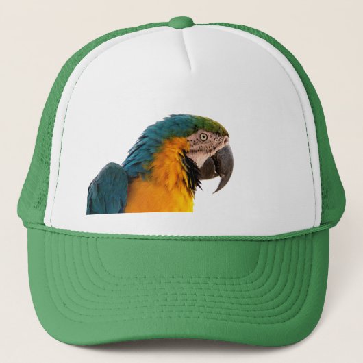 Parrot Post-Itメモ キャップ (正面)