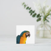 Parrot Post-Itメモ スクエア名刺 (スタンド正面)