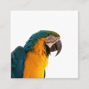 Parrot Post-Itメモ スクエア名刺