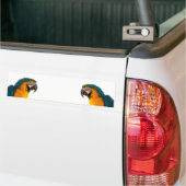 Parrot Post-Itメモ バンパーステッカー (トラック上)