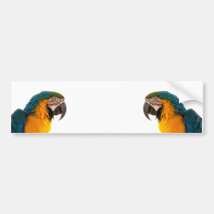 Parrot Post-Itメモ バンパーステッカー