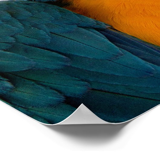 Parrot Post-Itメモ ポスター (角)