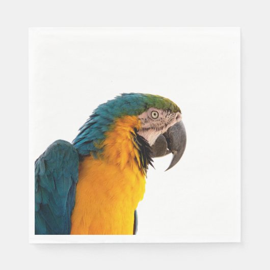 Parrot Post-it Notes スタンダードランチョンナプキン (正面)