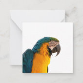 Parrot Post-it Notes ノートカード (正面)