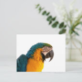 Parrot Post-it Notes ポストカード (スタンド正面)