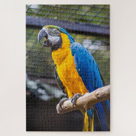 Parrot Puzzle ジグソーパズル (縦)