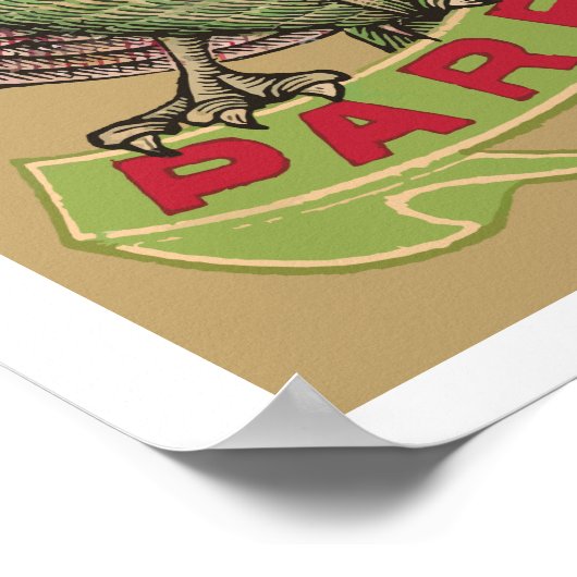 Parrot Safety Matches ポスター (角)