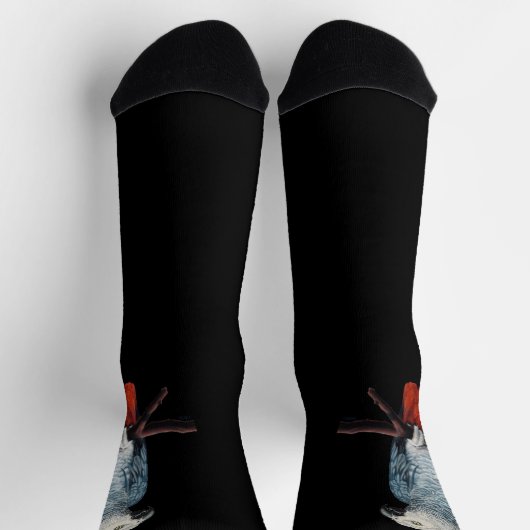 Parrot Socks Personalized African Grey Socks ソックス (上部)