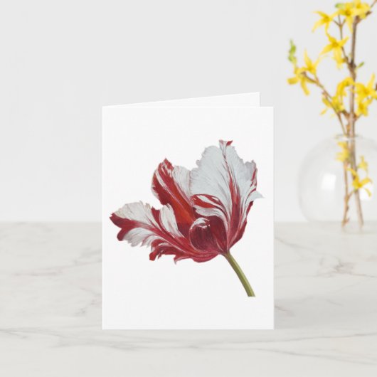 Parrot Tulip カード (黄色い花)