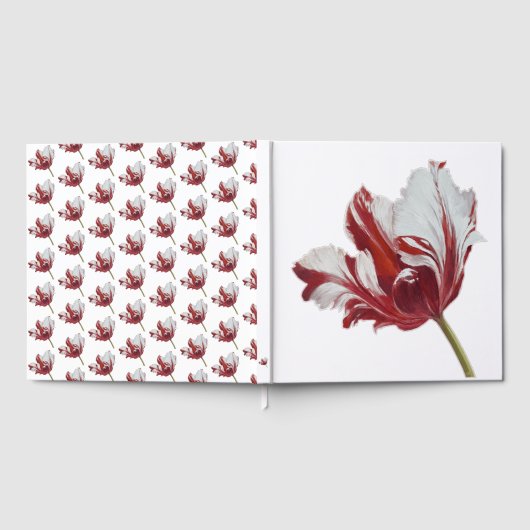 Parrot Tulip ゲストブック (全面)