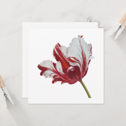 Parrot Tulip 10x  カード (正面/裏面インサイチュ)