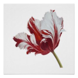 Parrot Tulip Fine Art Print ポスター