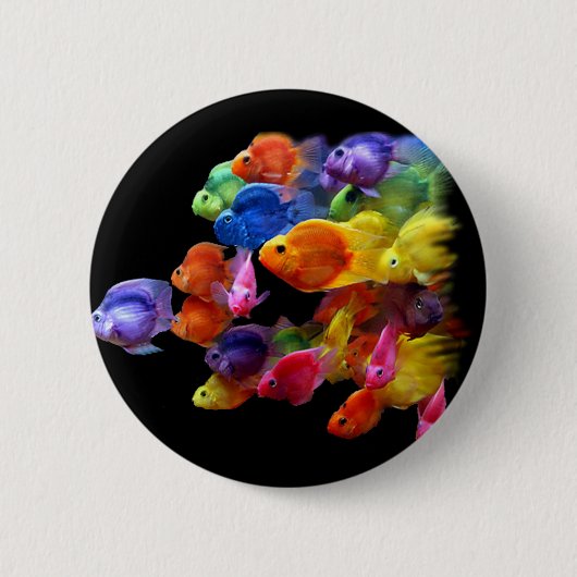 Parrotfishの虹 缶バッジ (正面)