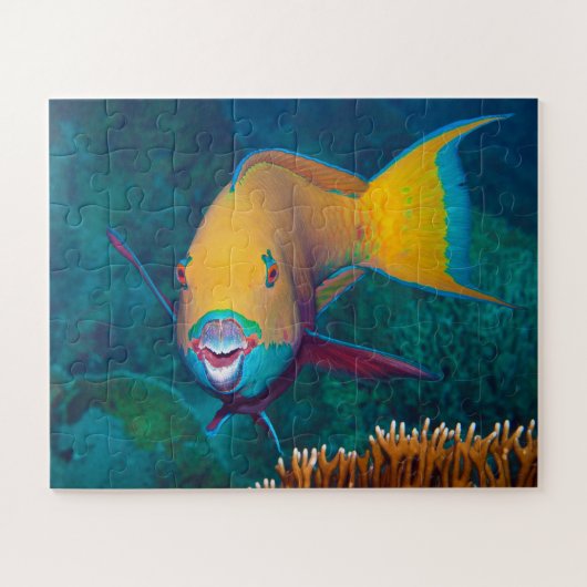 Parrotfish – メイクアップを打つ!写カラフル真 | ジグソーパズル (横)