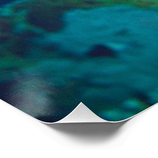 Parrotfish – メイクアップを打つ!写カラフル真 | ポスター (コーナー)