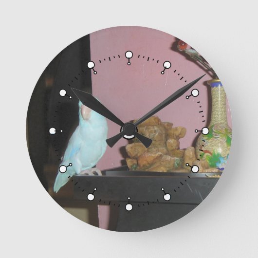 Parrotlet Wall Clock**の読説明 ラウンド壁時計 (正面)
