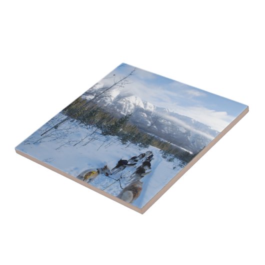 ParrotSleds -景色 タイル (側面)